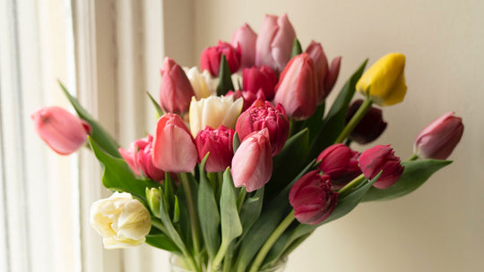 Are you looking to treat your mom to something special?