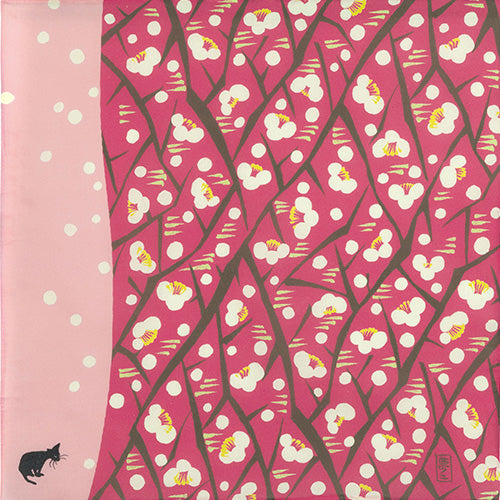 New arrival – Musubi