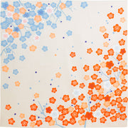 100 Hime Musubi Adeline Klam | Japanese Apricot   Pink/Blue